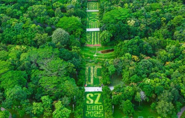 市民花田，送给深圳45岁的生日礼物！