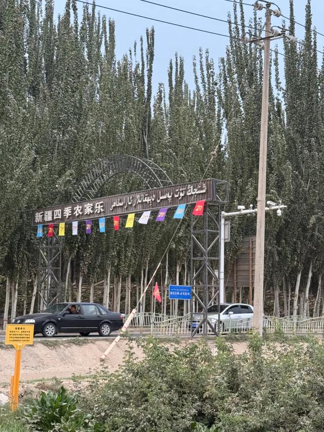 时隔三年,又来到了塔克拉玛干沙漠旁的小院~
