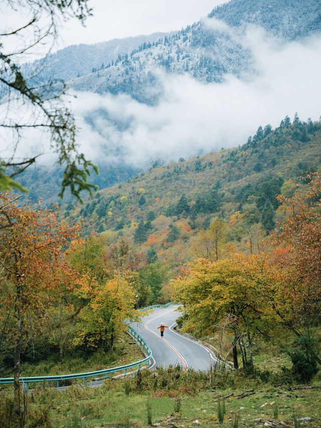 喇叭河红叶巅峰期打卡攻略，彩林秘境+野生萌兽，秋假带娃研学首选！