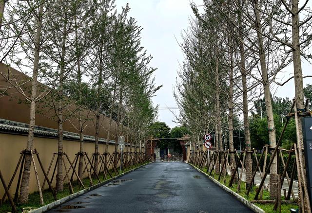 西汉墓址·大葆台遗址博物馆·北京