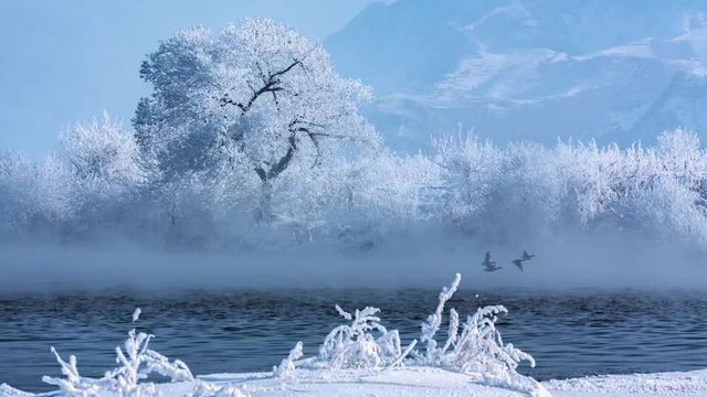 来集安玩雪，这才是冬天的正确打开方式~