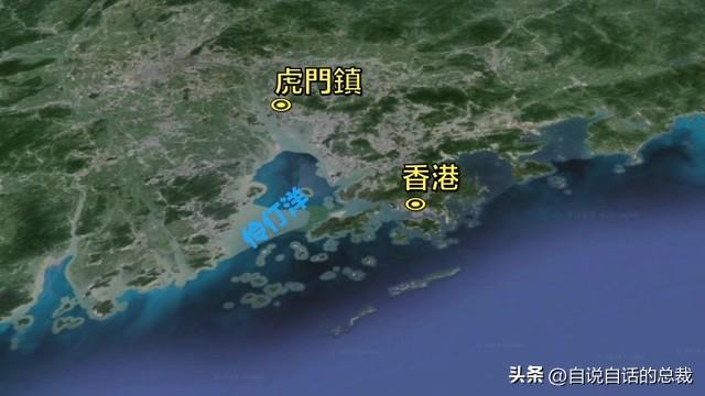巴西黄鱼胶多少钱一斤 2026年巴西鱼胶便宜吗