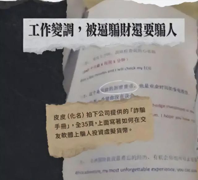 她在柬埔寨7天被轮奸9次，被大陆解救，回台湾后立马抹黑大陆