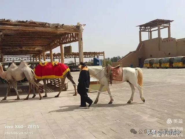 探秘新疆巴楚红海景区：自然与人文的交响｜ 申艳娟