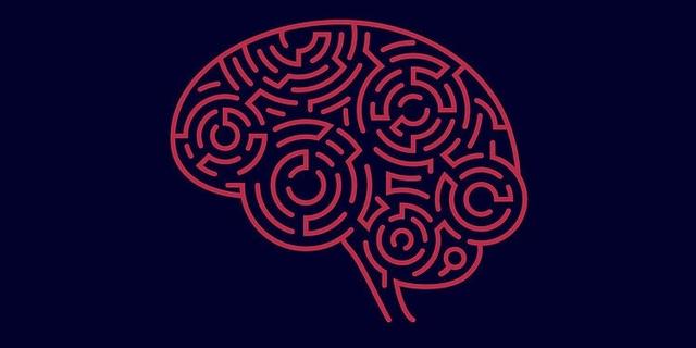 进化可能限制了人类大脑的大小，以平衡能源成本和生存