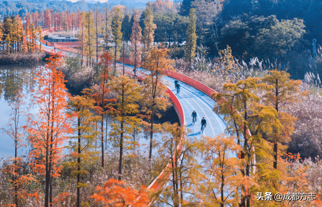 火出圈！外交部发言人也在关注成都这抹红→