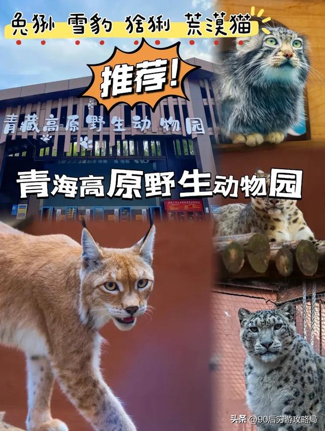 986元玩转西宁!5天高原穷游攻略,小众景点一网打尽