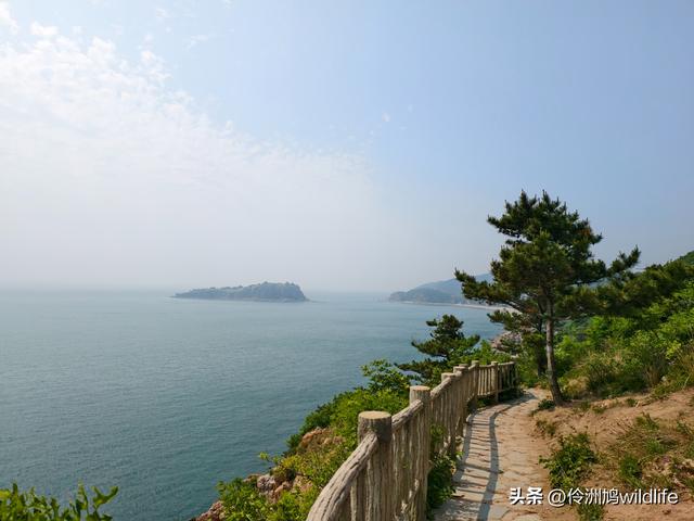 大连海之韵公园·棒槌岛
