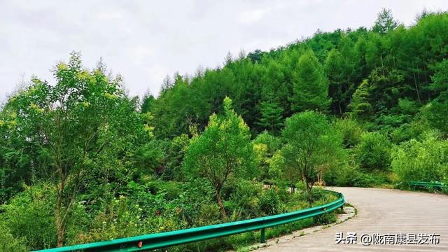 康县：精心管护提品质，整洁靓丽展颜值