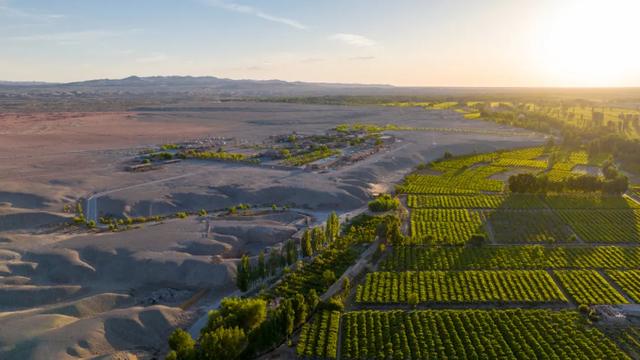 在敦煌守望阳关