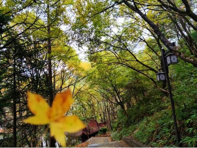 康县：秋雨、青年与白云山的邂逅