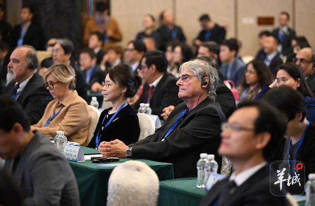 多国媒体人齐聚南海之滨,这一论坛为何选择阳江?丨羊晚政见