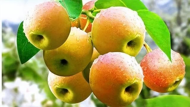 【集线G331】走，去北境初秋最美的自驾线！