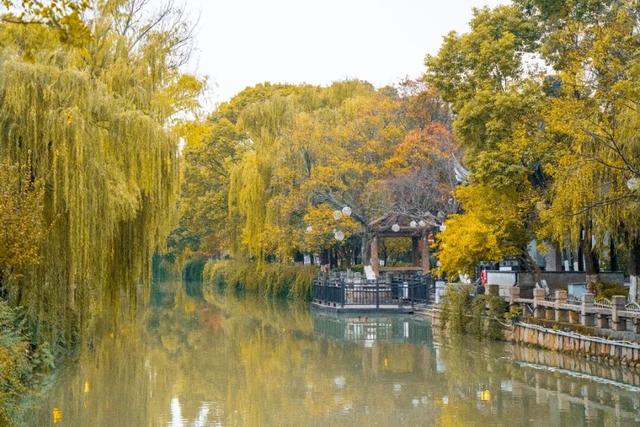 苏州吃羊肉的季节到了！打卡线路推荐→
