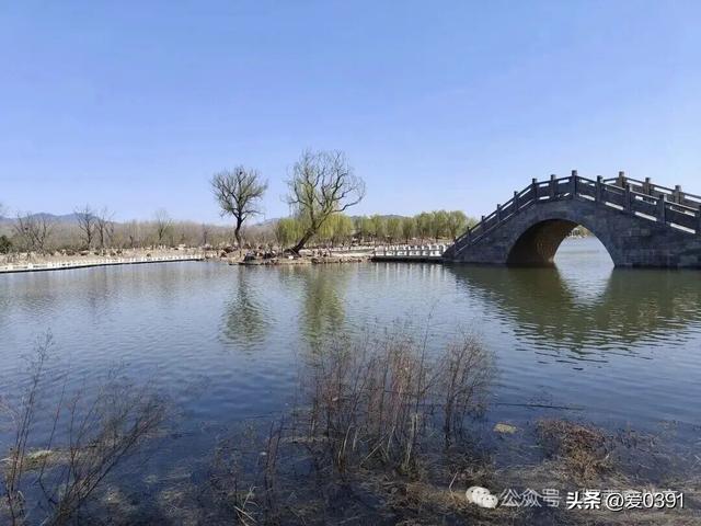 济源又一个生态公园春节期间盛装迎客