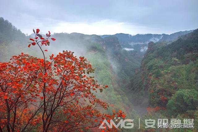 视觉安阳丨山水如画 醉美太行