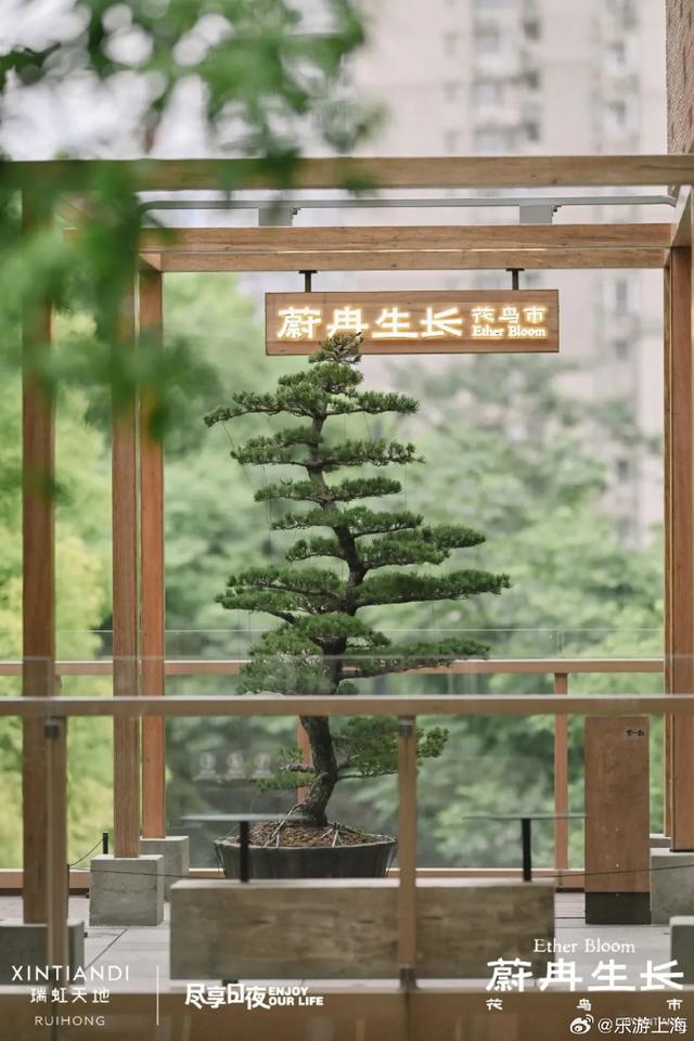 魔都中的绿洲，都市森林快来体验