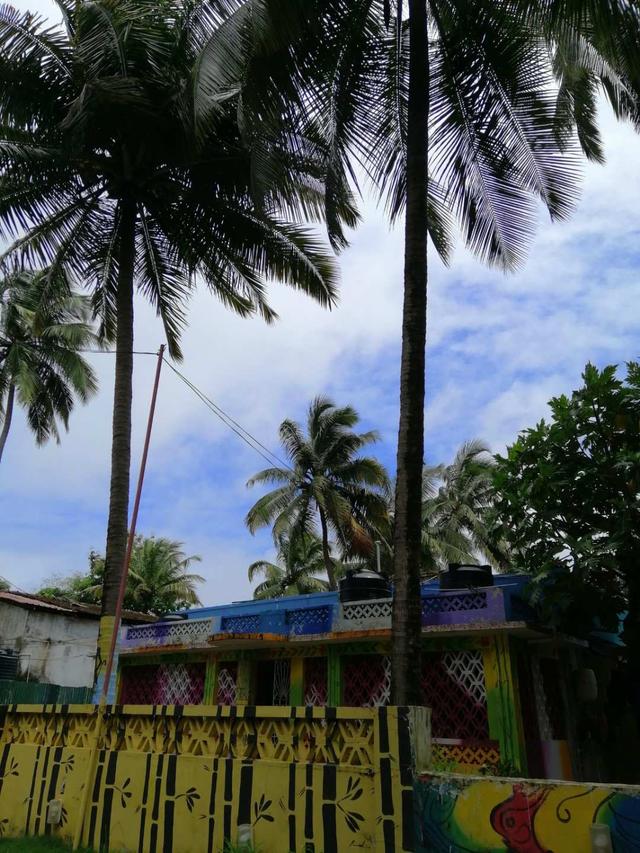 探访南印度果阿，最不像印度的印度城市