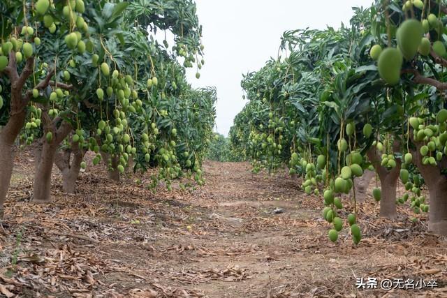 广西自驾游真的是让我大开眼界，收获颇丰，惊喜不断，有点意外哦