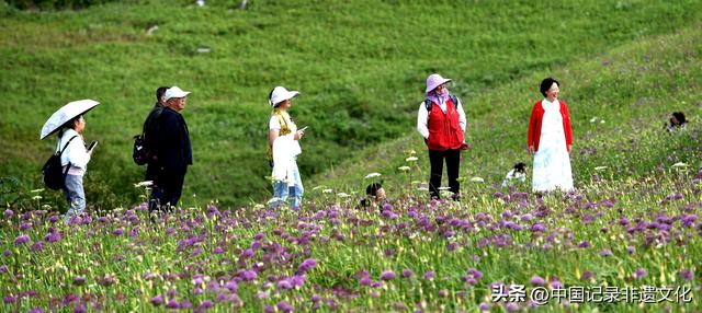 六盘水韭菜坪：踏秋避暑的梦幻仙境，野生韭菜花惊艳绽放！