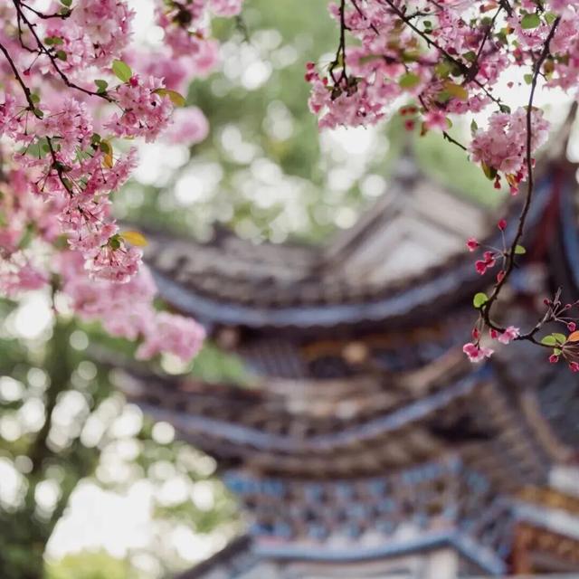 女性免票、男士同享、3.8元特惠→