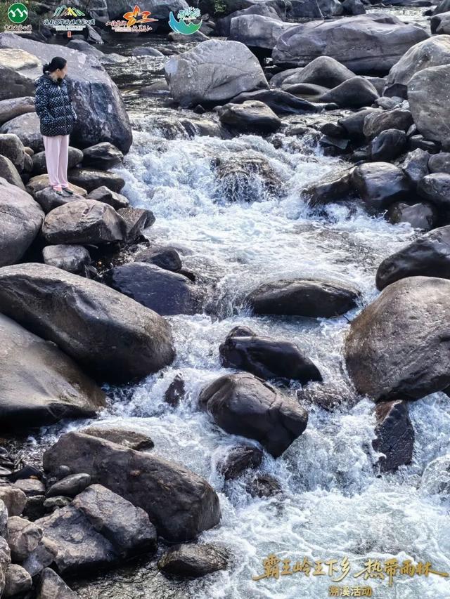 王下溯溪、船型屋寻踪、皇帝洞探秘，这场雨林黎乡之旅太上头！