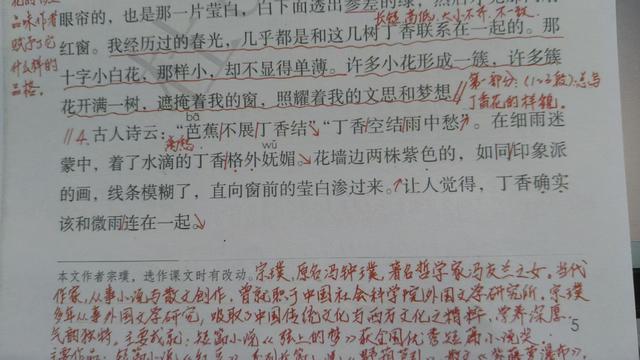 六年级上册第二课《丁香结》，资深教师手写笔记，帮助学生学语文