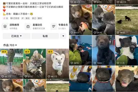 95后女孩4年带大百余动物幼崽，引网友羡慕：“我来帮你上夜班”图片