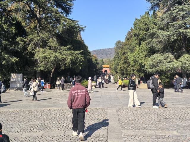 南京紫金山郊野徒步