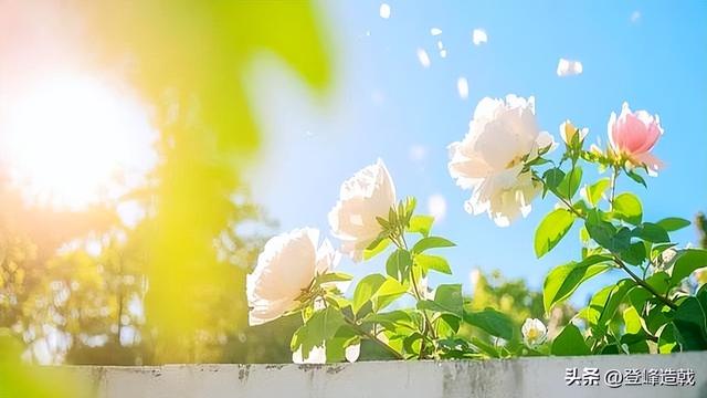 花了3800，奉劝大家：天热就在家里吹空调，千万别去什么避暑胜地