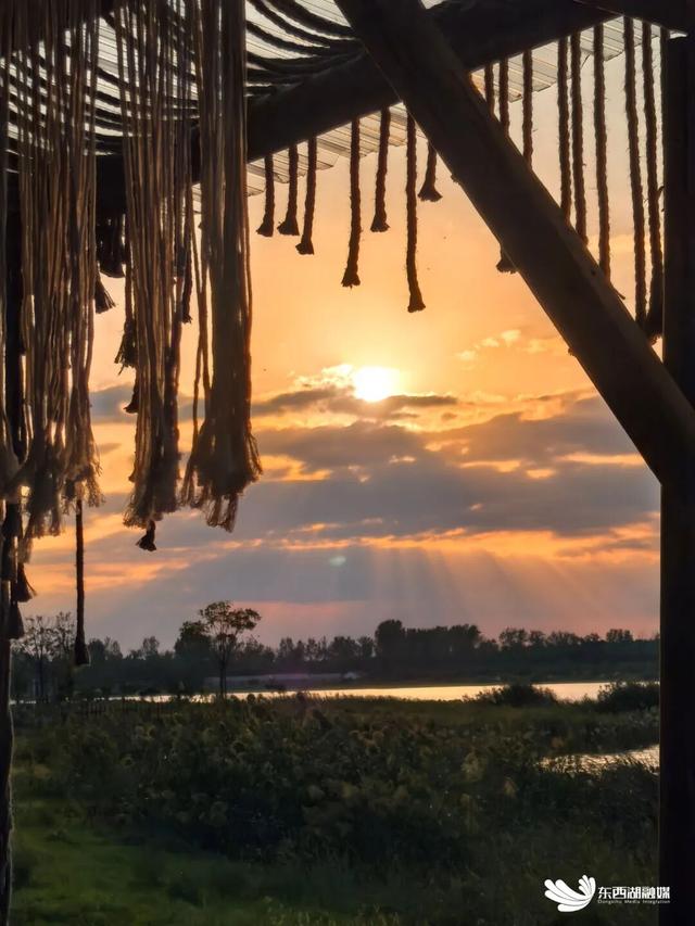 东西湖“落日收藏馆”成打卡热门地（有福利）