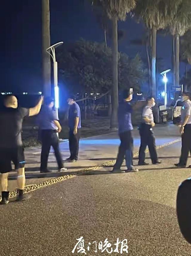 厦门的夜浓得化不开海风带着咸涩的凉意像是在低声诉说着什么