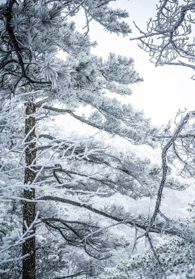 庐山初雪记：红裙油伞赴云端冰雪之约！