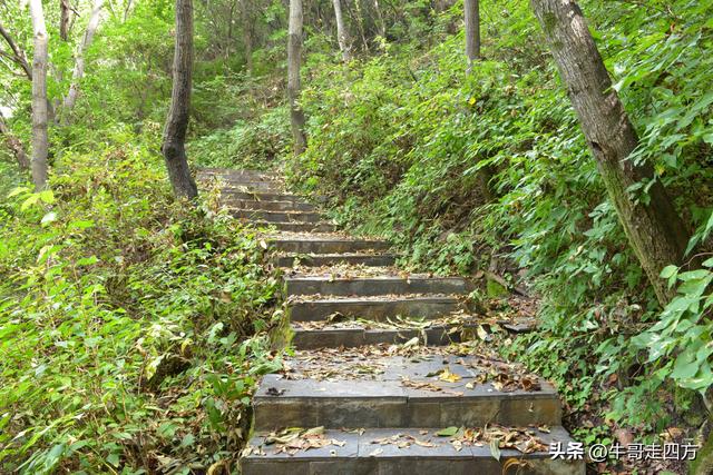 河北百草畔（上）：风动孤石悬险韵，蚁巡深岭蕴生机