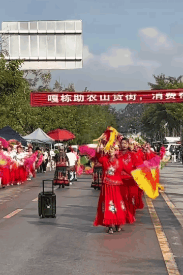 111三亚终究踏上“不归路”，东北人撤离成潮！背后真相是啥？