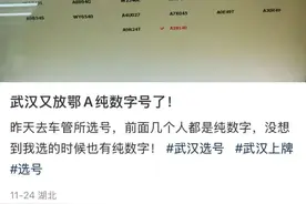 鄂A纯数字号牌大量发放？交警回应图片