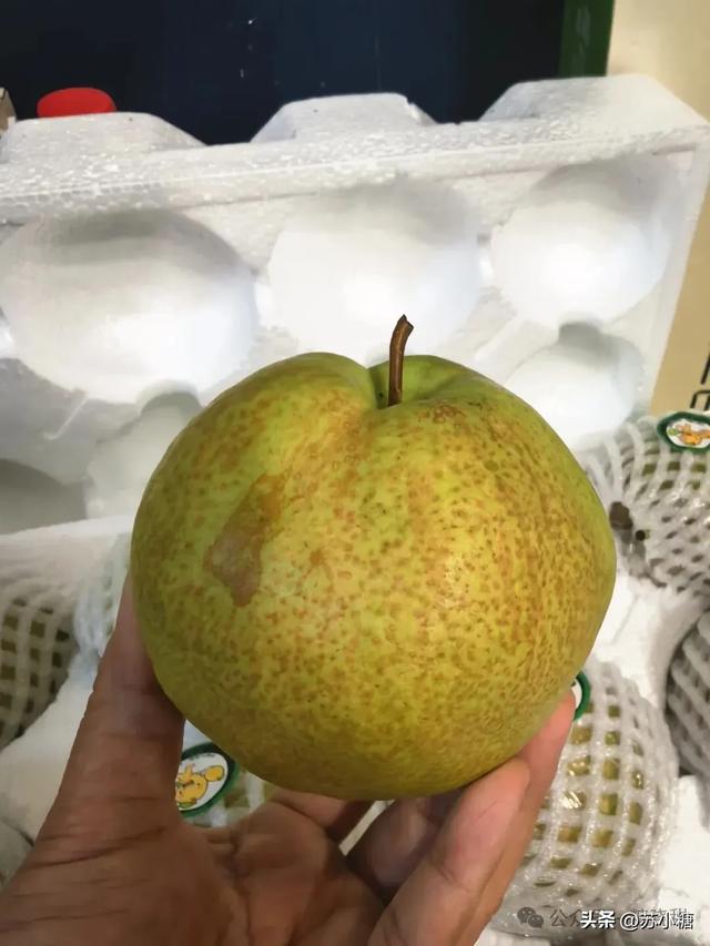 【山西游】隰县小西天，因黑神话悟空遇见悬塑的终极之美