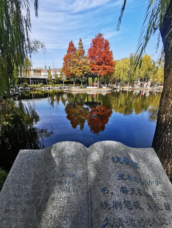 临沂「红杉」「红枫」浓度拉满，出片率100%