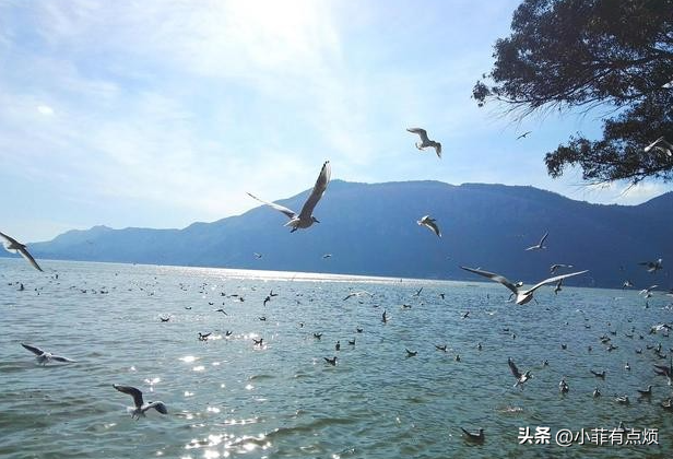 中国又有城市被“占领”，仅1个月涌入30万外国人，都想成家立业