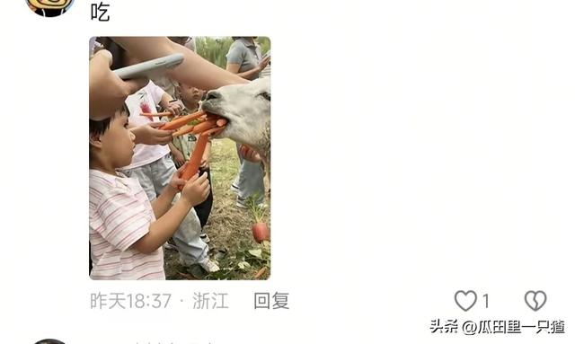 笑不活！国庆假期动物园的动物都吃yue了，网友:每逢佳节胖三斤