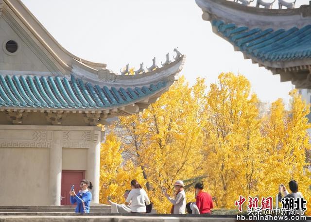 组图：武汉大学校园即景