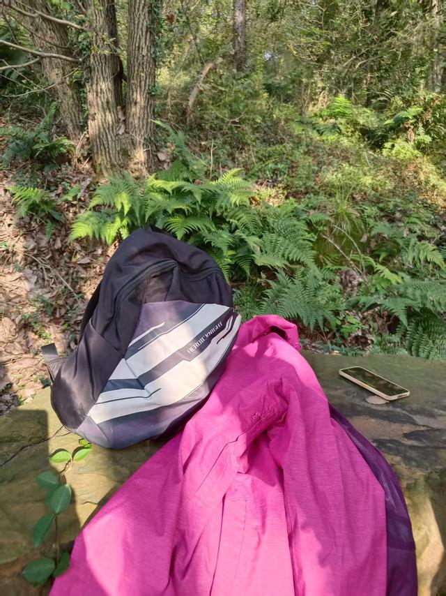 山径新途，秋光独酌