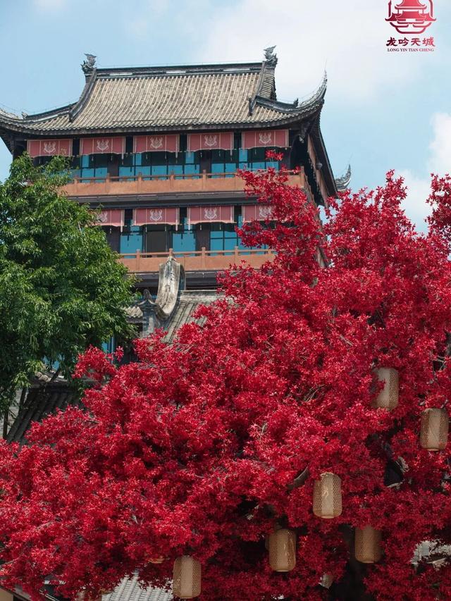 12月17日，成都这地有大动作！