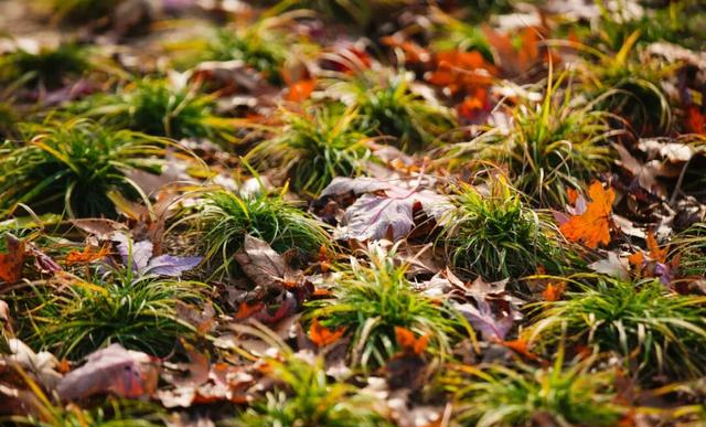 海淀“阿那亚”藏不住了！“白沙滩”成新晋热门打卡地