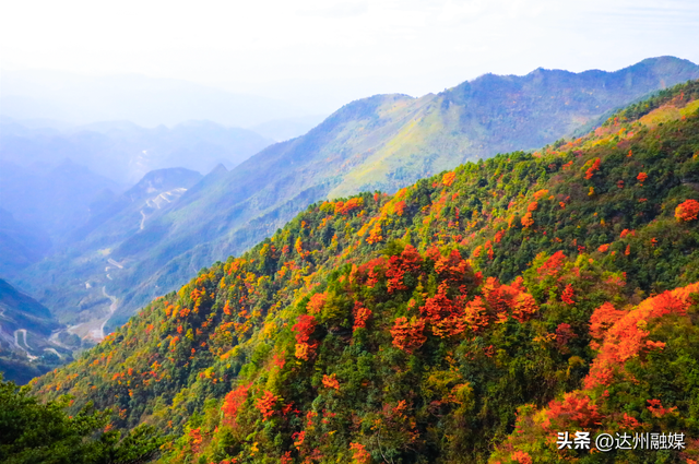 错过等一年！巴山大峡谷秋色刚开场，彩林已美成仙境！