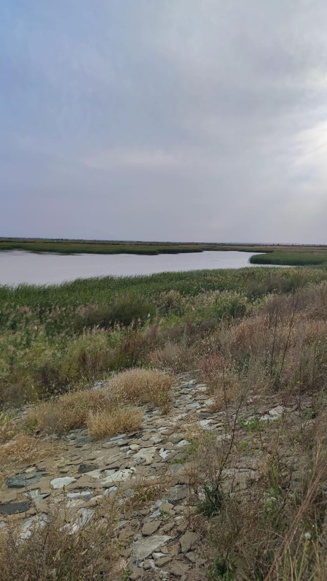 包头城南靠近黄河的昭君湖，也叫小白河景区，黄河浩渺，湖平如镜
