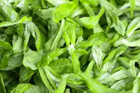 清明前后，这菜被誉为“草中燕窝”，当菜又当药，如今稀少珍贵！图片