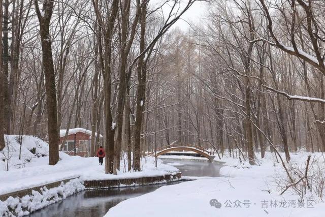告别金秋，邂逅龙湾初冬！赏雪、观雾凇攻略，这两处景区别错过~