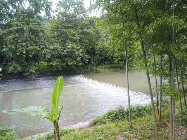 端阳喜伴小溪河，独有诗心迷远足——徒步小溪河散记（三）