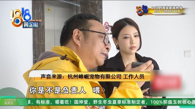 怎么又是这？她还拿出视频，里面“一动不动”，停了几只苍蝇....